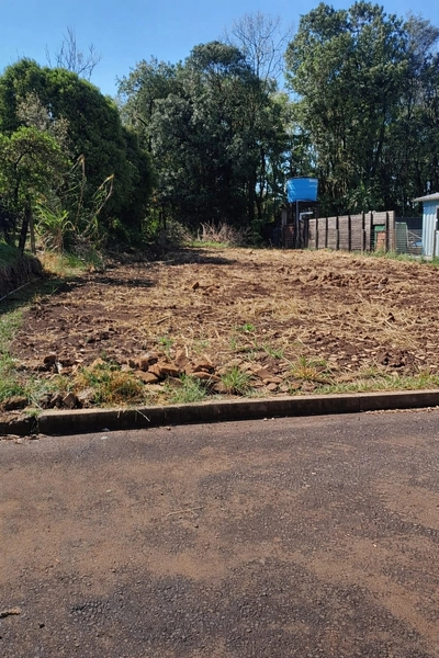 Terreno a VENDA em Planalto Alegre - SC: 3ª foto da galeria de imagens do imóvel