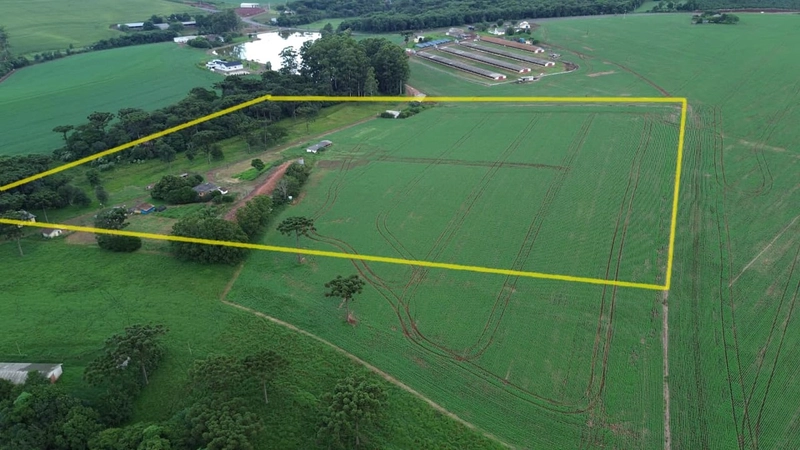 Área de terras - Linha Boa Vista- Chapecó - SC: 2ª foto da galeria de imagens do imóvel