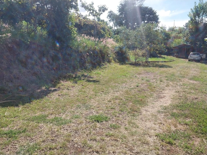 Chácara a venda na Linha Alto da Serra- Chapecó -SC: 6ª foto da galeria de imagens do imóvel