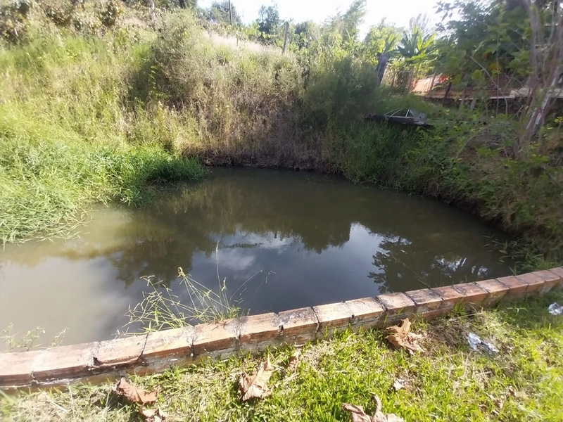 Chácara a venda na Linha Alto da Serra- Chapecó -SC: 10ª foto da galeria de imagens do imóvel
