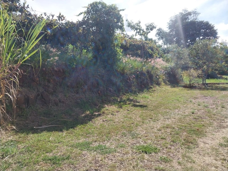 Chácara a venda na Linha Alto da Serra- Chapecó -SC: 2ª foto da galeria de imagens do imóvel