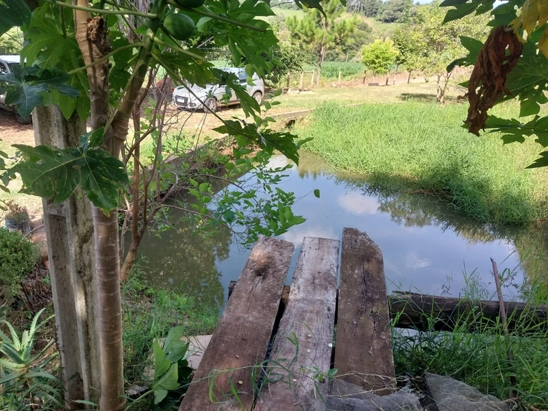 Chácara a venda na Linha Alto da Serra- Chapecó -SC: 12ª foto da galeria de imagens do imóvel