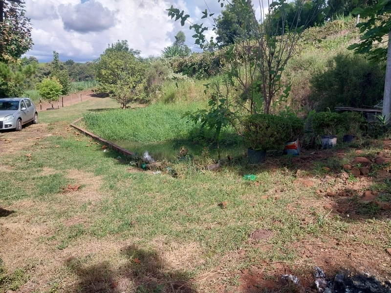 Chácara a venda na Linha Alto da Serra- Chapecó -SC: 9ª foto da galeria de imagens do imóvel