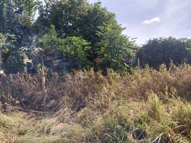 Chácara a venda na Linha Alto da Serra- Chapecó -SC: 3ª foto da galeria de imagens do imóvel