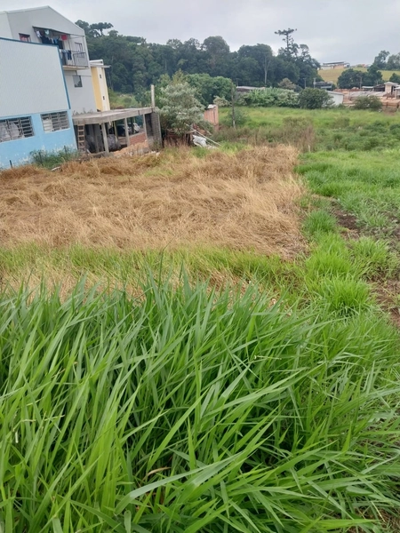 Terreno a VENDA no Bairro Araras – Chapecó- C: 4ª foto da galeria de imagens do imóvel