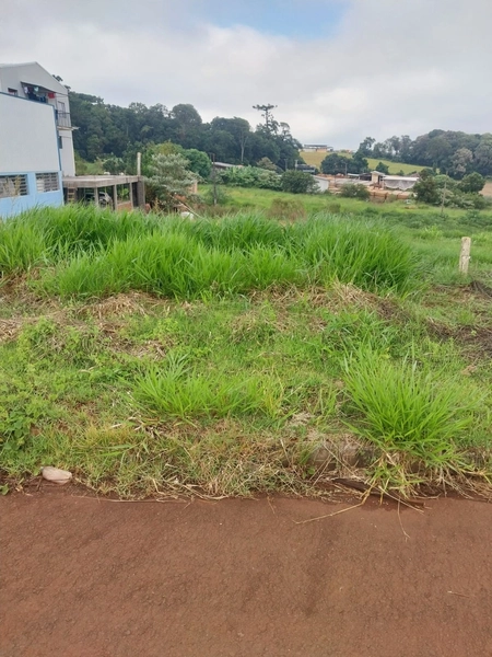 Terreno a VENDA no Bairro Araras – Chapecó- C: 2ª foto da galeria de imagens do imóvel