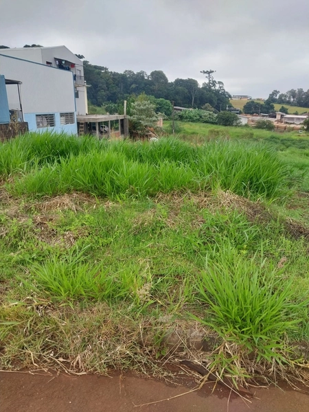 Terreno a VENDA no Bairro Araras – Chapecó- C: 3ª foto da galeria de imagens do imóvel