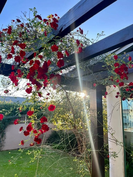 Casa a Venda no Bairro Universitário – Chapecó-SC: 20ª foto da galeria de imagens do imóvel