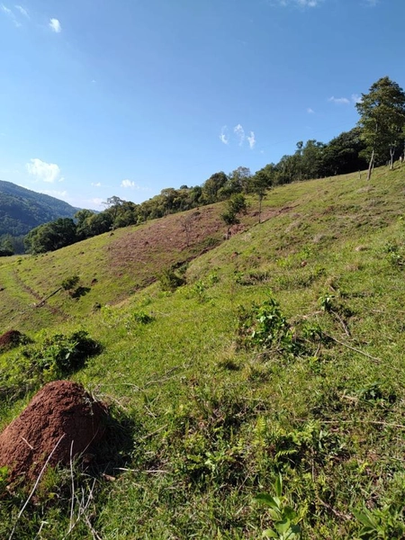 Área Rural para Venda em Faxinalzinho / RS no bairro Interior: 16ª foto da galeria de imagens do imóvel