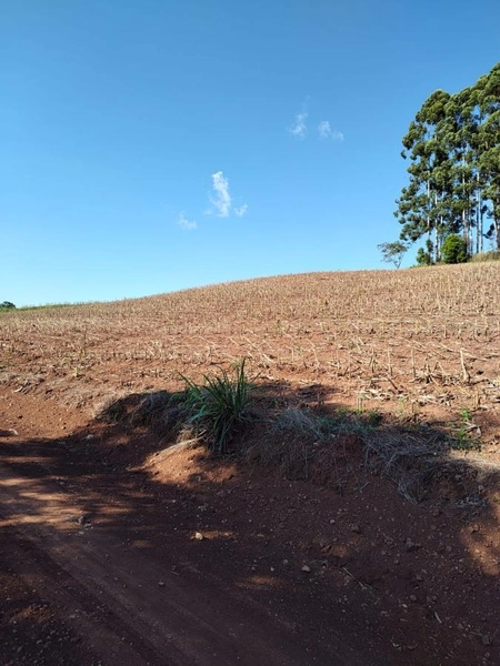 Área Rural para Venda em Faxinalzinho / RS no bairro Interior: 2ª foto da galeria de imagens do imóvel