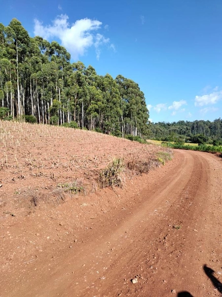 Área Rural para Venda em Faxinalzinho / RS no bairro Interior: 7ª foto da galeria de imagens do imóvel