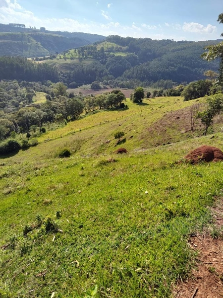 Área Rural para Venda em Faxinalzinho / RS no bairro Interior: 18ª foto da galeria de imagens do imóvel