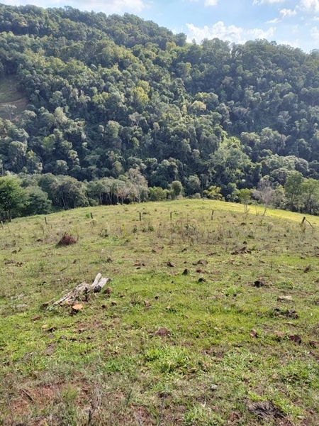 Área Rural para Venda em Faxinalzinho / RS no bairro Interior: 9ª foto da galeria de imagens do imóvel