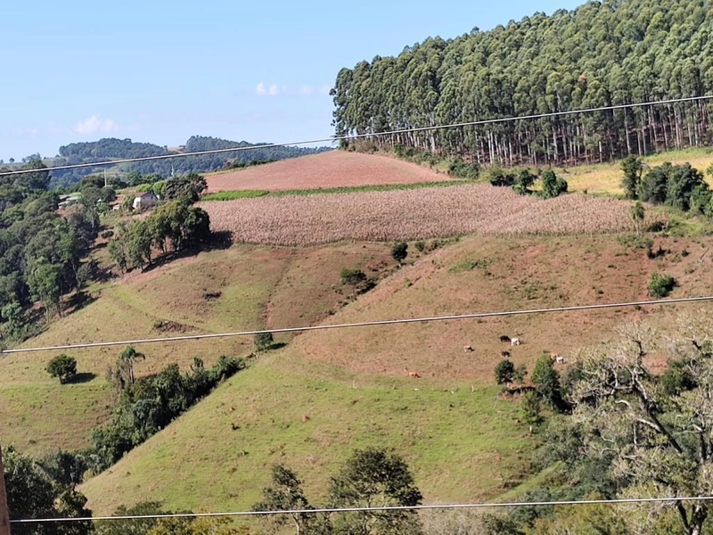 Área Rural para Venda em Faxinalzinho / RS no bairro Interior: 1ª foto da galeria de imagens do imóvel