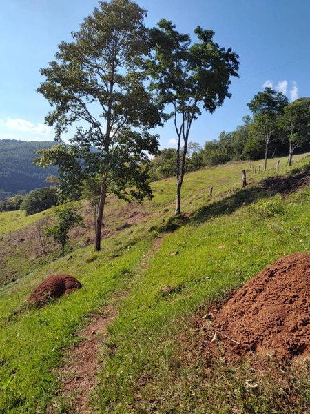 Área Rural para Venda em Faxinalzinho / RS no bairro Interior: 17ª foto da galeria de imagens do imóvel