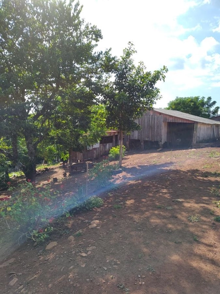 Área Rural para Venda em Faxinalzinho / RS no bairro Interior: 14ª foto da galeria de imagens do imóvel