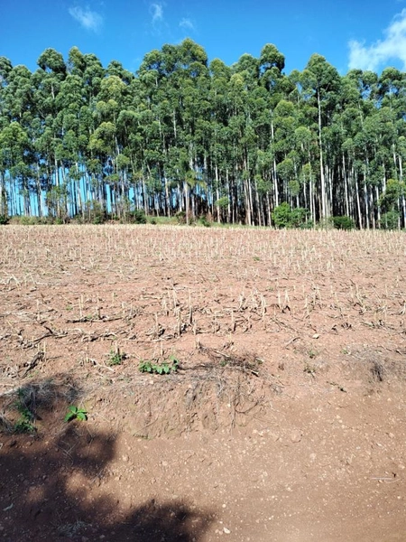 Área Rural para Venda em Faxinalzinho / RS no bairro Interior: 4ª foto da galeria de imagens do imóvel