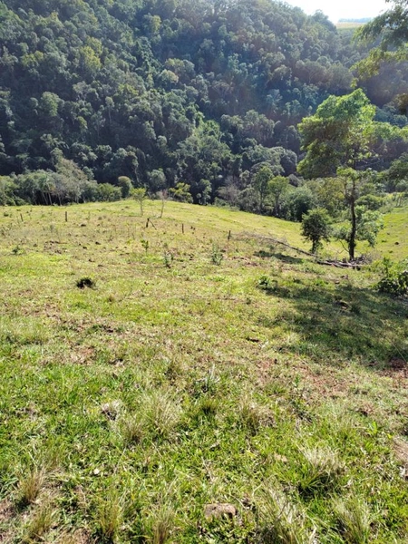 Área Rural para Venda em Faxinalzinho / RS no bairro Interior: 10ª foto da galeria de imagens do imóvel