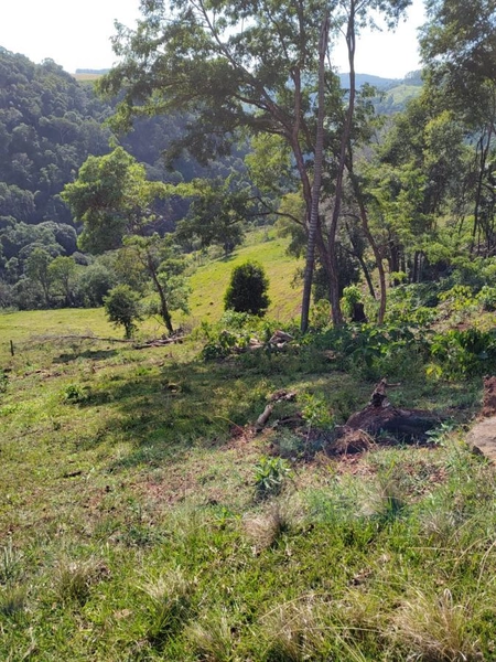 Área Rural para Venda em Faxinalzinho / RS no bairro Interior: 19ª foto da galeria de imagens do imóvel