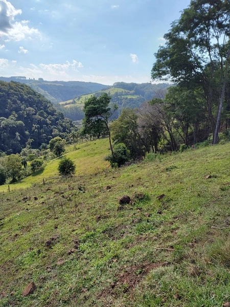 Área Rural para Venda em Faxinalzinho / RS no bairro Interior: 11ª foto da galeria de imagens do imóvel