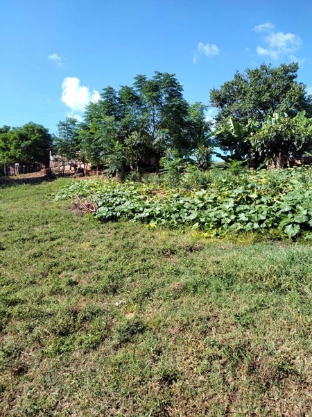 Área Rural para Venda em Faxinalzinho / RS no bairro Interior: 6ª foto da galeria de imagens do imóvel