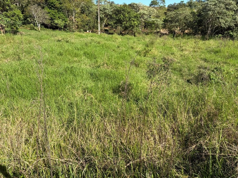 Área de terras á Venda – PAIAL/SC: 13ª foto da galeria de imagens do imóvel