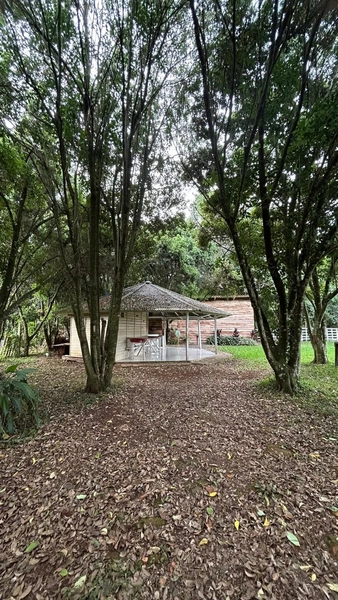 Chácara á venda em Chapecó-SC: 10ª foto da galeria de imagens do imóvel