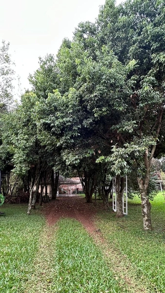 Chácara á venda em Chapecó-SC: 13ª foto da galeria de imagens do imóvel