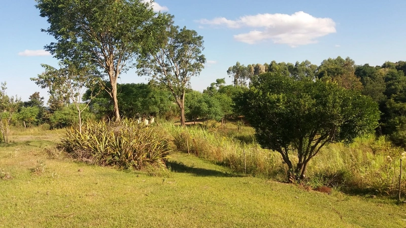 ÁREA DE TERRAS em Trindade do Sul - RS: 5ª foto da galeria de imagens do imóvel
