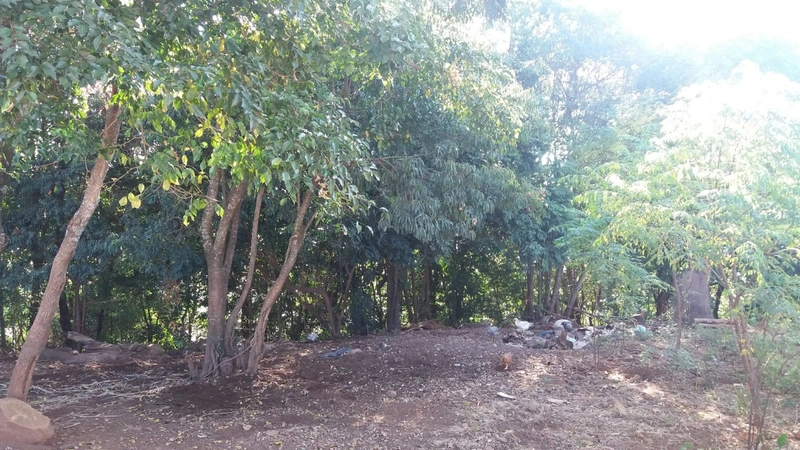 ÁREA DE TERRAS em Trindade do Sul - RS: 6ª foto da galeria de imagens do imóvel