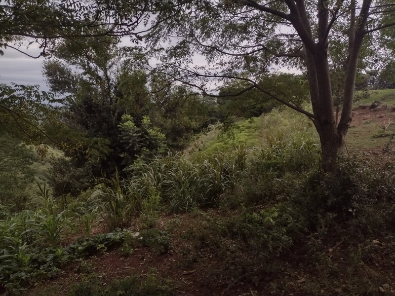 ÁREA DE TERRAS em Trindade do Sul - RS: 4ª foto da galeria de imagens do imóvel