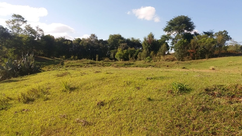 ÁREA DE TERRAS em Trindade do Sul - RS: 11ª foto da galeria de imagens do imóvel