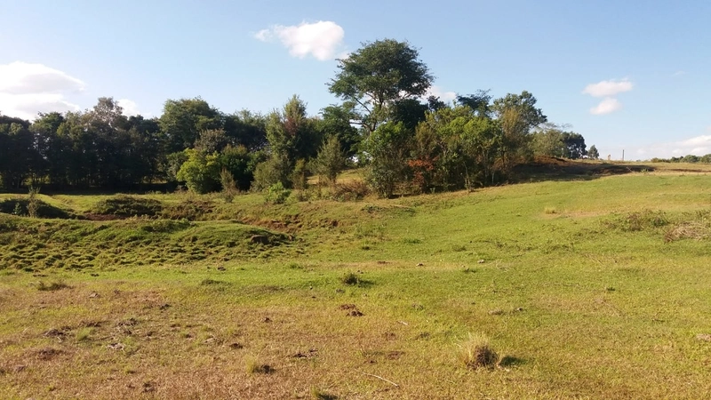 ÁREA DE TERRAS em Trindade do Sul - RS: 3ª foto da galeria de imagens do imóvel