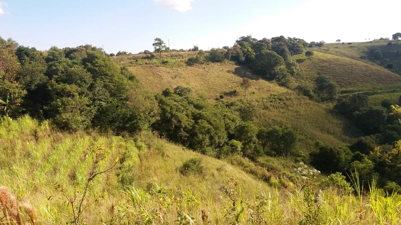 ÁREA DE TERRAS em Trindade do Sul - RS: 1ª foto da galeria de imagens do imóvel