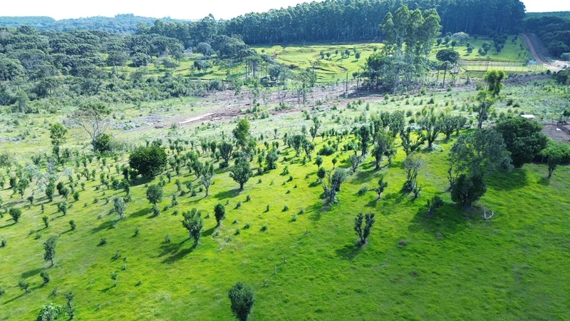 : 6ª foto da galeria de imagens do imóvel
