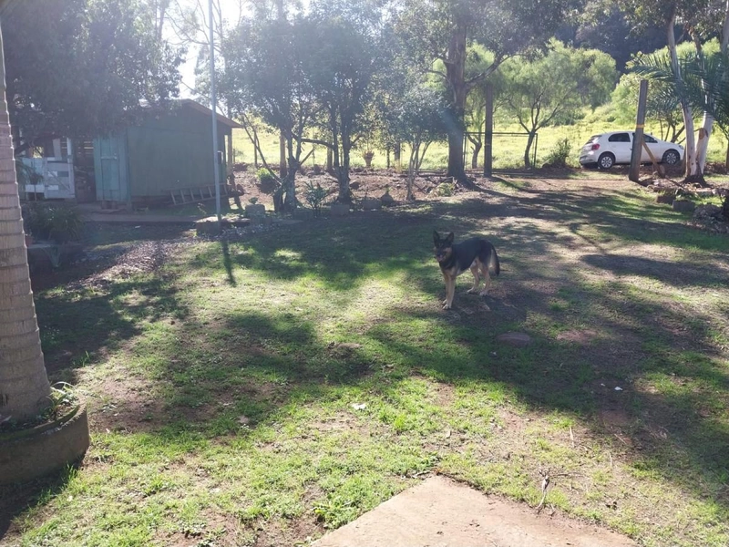 Chácara para Venda em Erval Grande / RS no bairro Interior: 6ª foto da galeria de imagens do imóvel