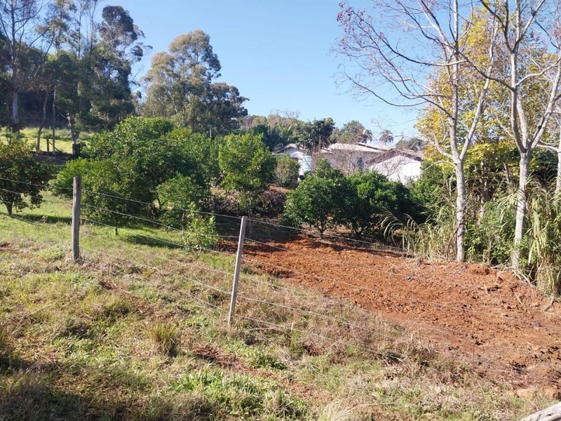 Chácara para Venda em Erval Grande / RS no bairro Interior: 9ª foto da galeria de imagens do imóvel