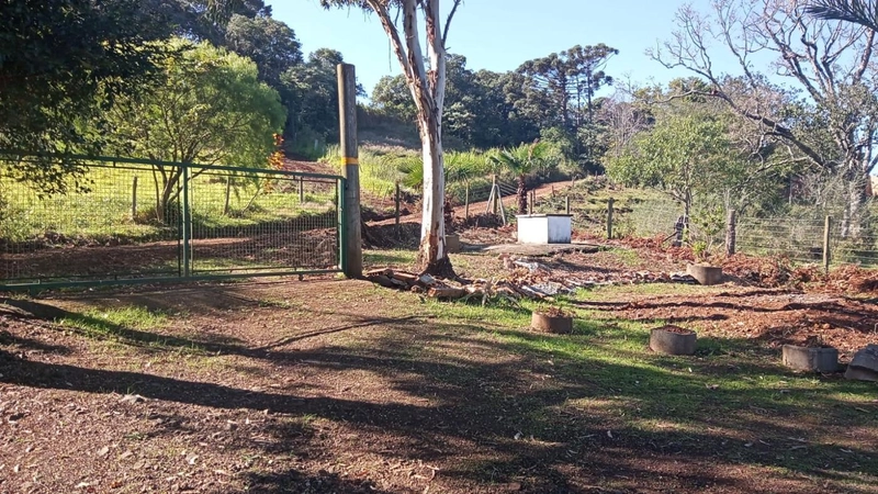 Chácara para Venda em Erval Grande / RS no bairro Interior: 5ª foto da galeria de imagens do imóvel