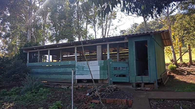 Chácara para Venda em Erval Grande / RS no bairro Interior: 13ª foto da galeria de imagens do imóvel