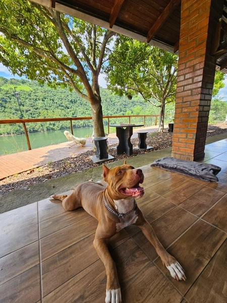 CASA DO LAGO À VENDA EM ARVOREDO/SC: 5ª foto da galeria de imagens do imóvel