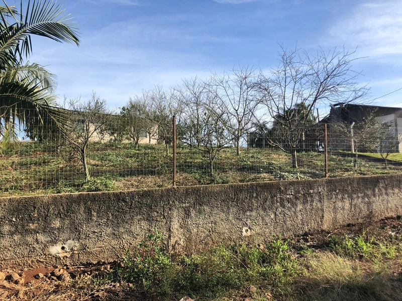 Area de Terra – Linha Água Amarela – Chapecó-SC: 3ª foto da galeria de imagens do imóvel