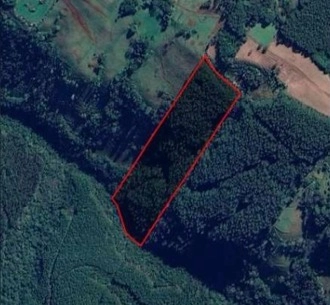 Área de terra a VENDA em Erval Grande – RS: 2ª foto da galeria de imagens do imóvel