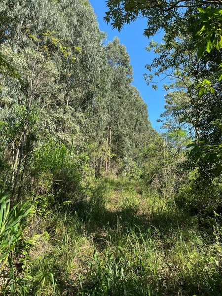 Área de terra a VENDA em São Valentin – RS: 2ª foto da galeria de imagens do imóvel
