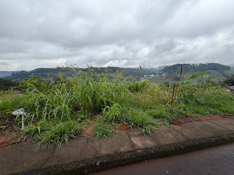 TERRENO À VENDA EM CORONEL FREITAS/SC: 3ª foto da galeria de imagens do imóvel