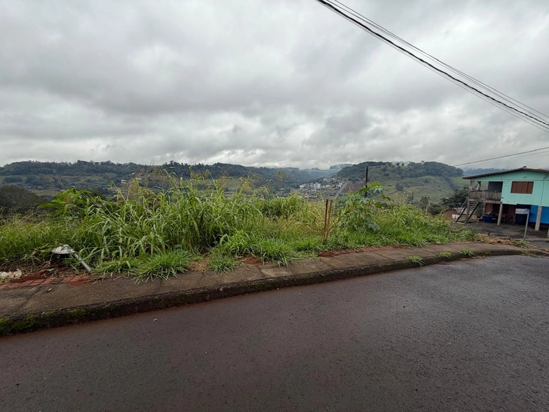 TERRENO À VENDA EM CORONEL FREITAS/SC: 1ª foto da galeria de imagens do imóvel
