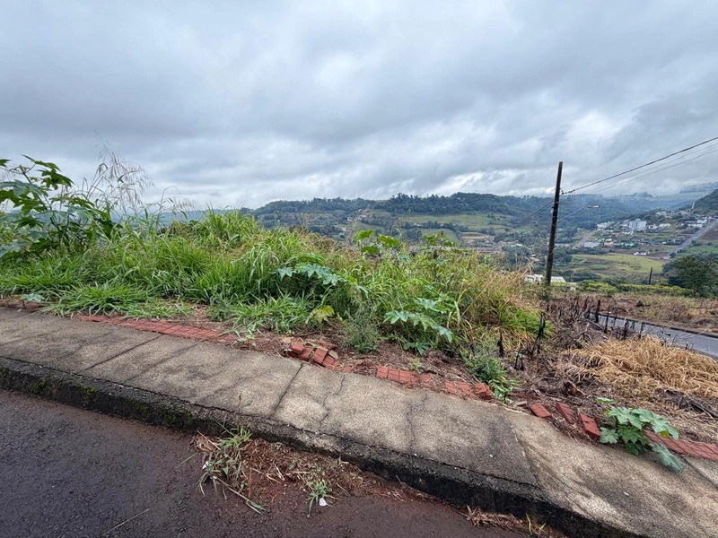 TERRENO À VENDA EM CORONEL FREITAS/SC: 4ª foto da galeria de imagens do imóvel