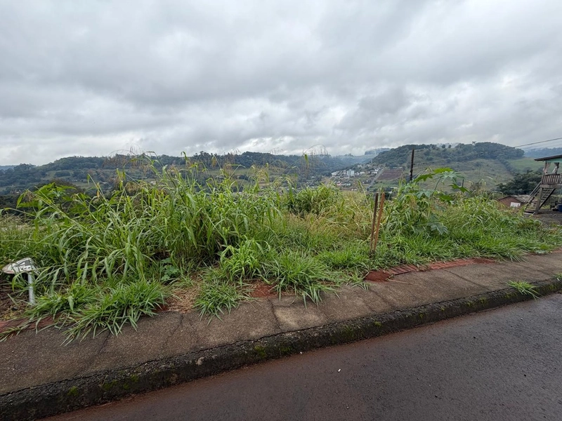 TERRENO À VENDA EM CORONEL FREITAS/SC: 2ª foto da galeria de imagens do imóvel