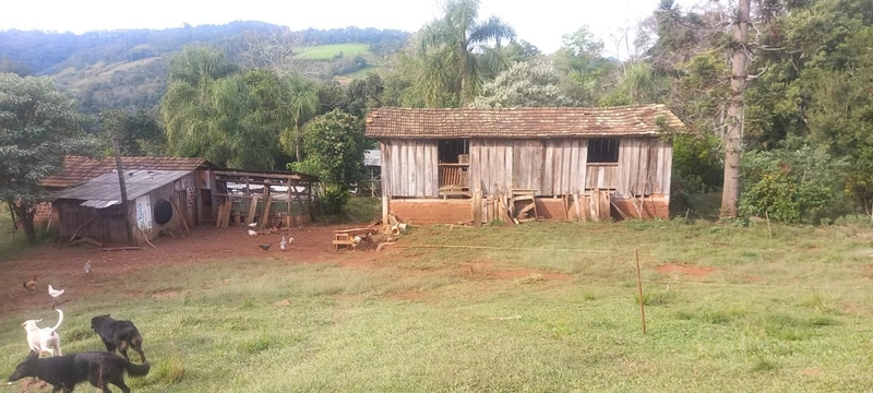 Área Rural para Venda em Erval Grande / RS no bairro Interior: 10ª foto da galeria de imagens do imóvel