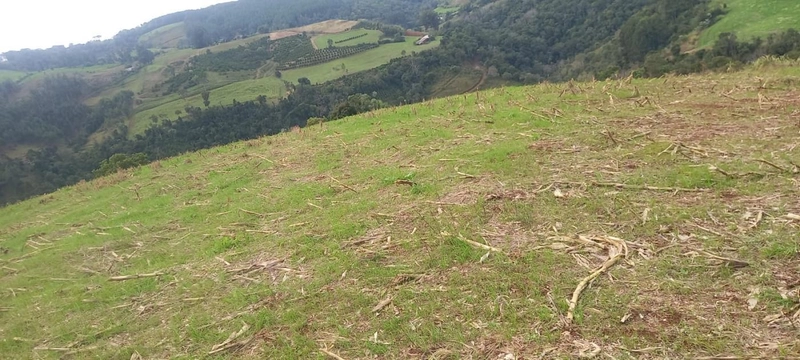 Área Rural para Venda em Erval Grande / RS no bairro Interior: 5ª foto da galeria de imagens do imóvel
