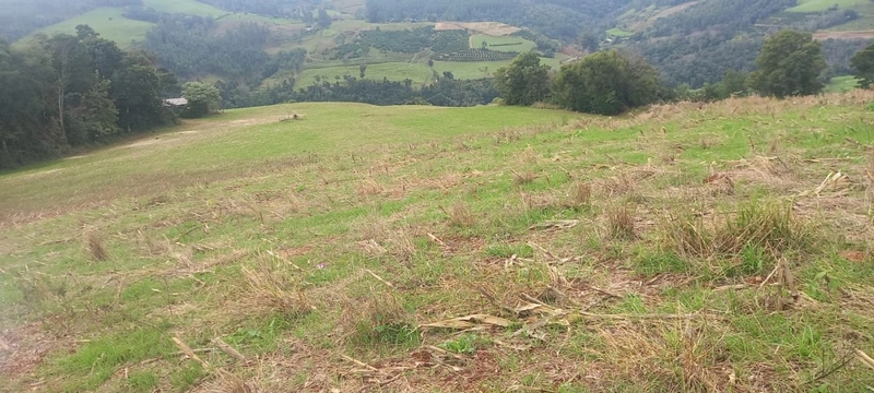 Área Rural para Venda em Erval Grande / RS no bairro Interior: 1ª foto da galeria de imagens do imóvel